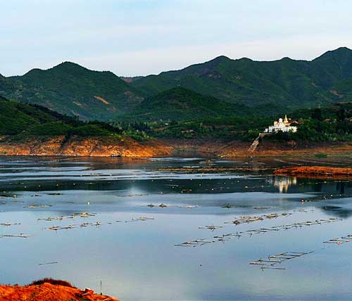 ������ֳ